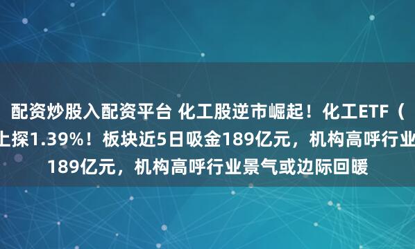 配资炒股入配资平台 化工股逆市崛起！化工ETF（516020）盘中上探1.39%！板块近5日吸金189亿元，机构高呼行业景气或边际回暖